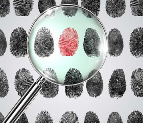 Technology Partners in Developing Crime Investigation System
