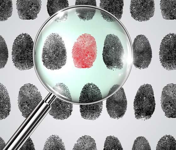 Technology Partners in Developing Crime Investigation System