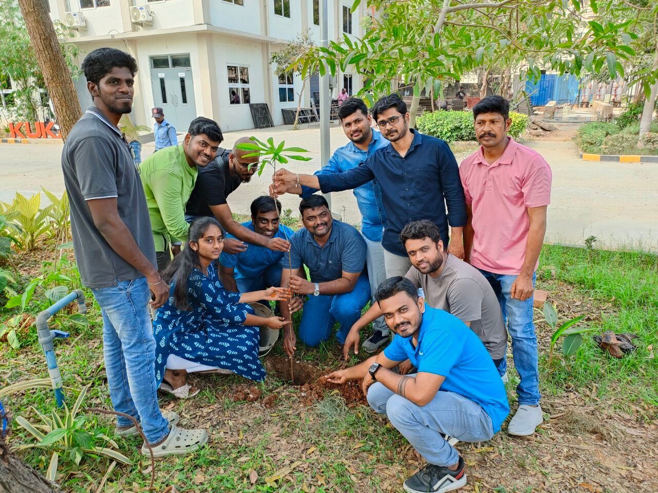 Tree Plantation